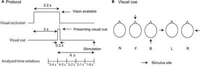 Advanced cueing of auditory stimulus to the head induces body sway in the direction opposite to the stimulus site during quiet stance in male participants